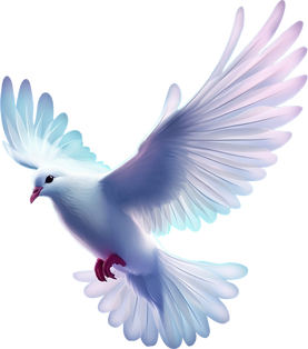Flying white dove of peace isolated on transparent background